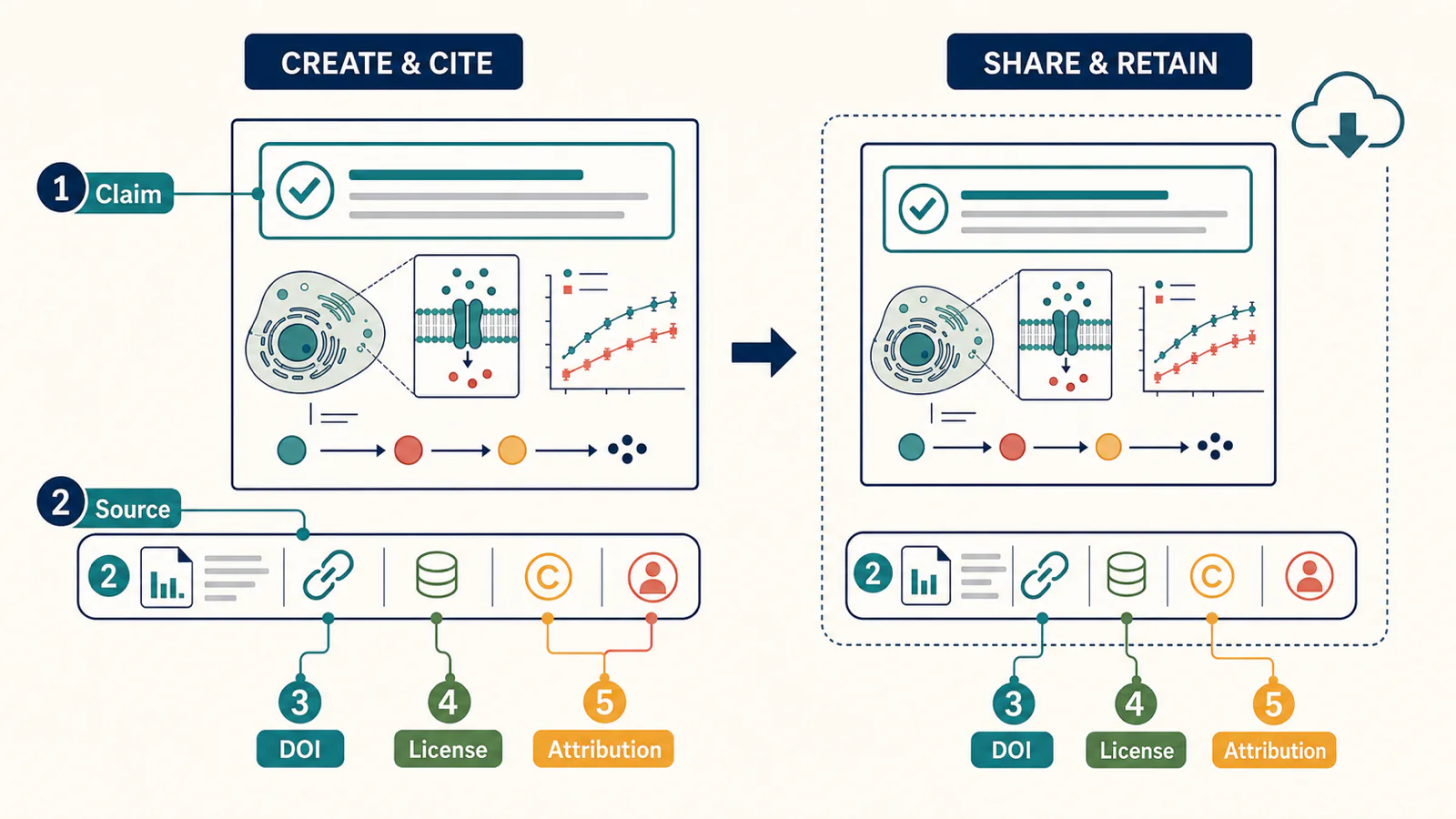 Citation anatomy showing how claims remain connected to sources, DOI links, licenses, and attribution when an infographic is shared