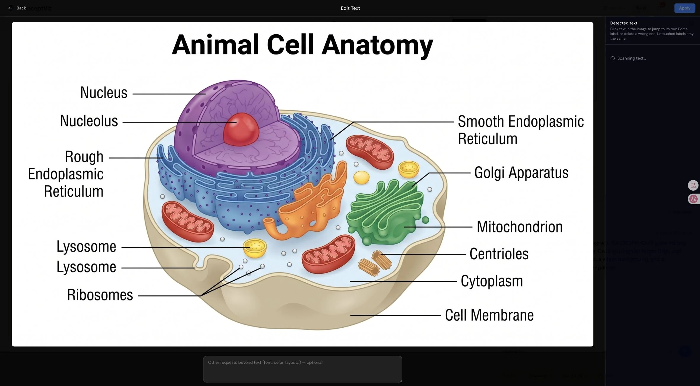 ConceptViz text editor processing detected labels in a saved scientific diagram