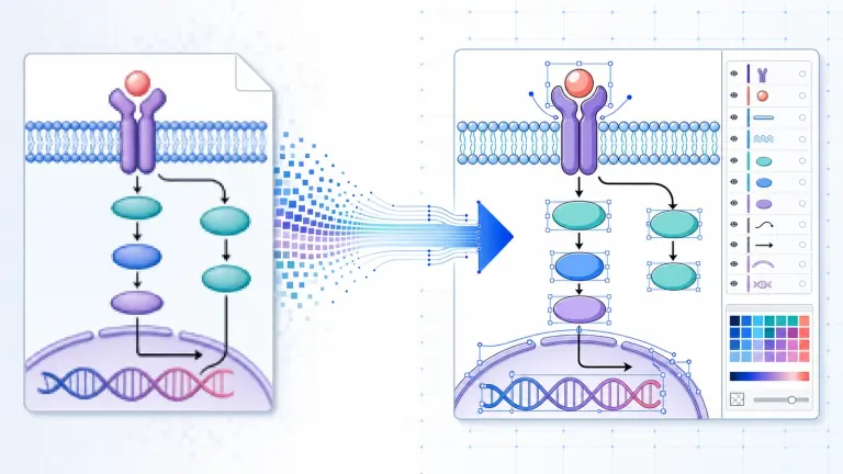 Figure vectorizer scientific illustration example